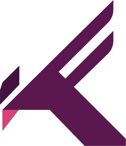Kestrel Wings software development team